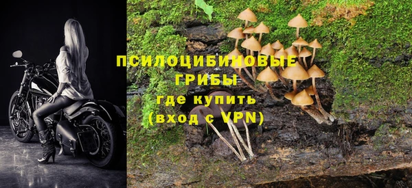 мескалин Надым
