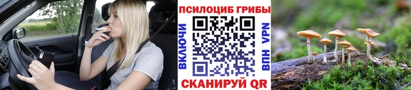 Галлюциногенные грибы мухоморы  darknet телеграм  Химки 